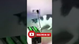 áudios engraçados + Subway surfers 🍵 pouco pó #shorts