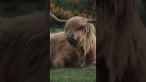 👀 #subwaysurfers