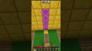 Minecraft , But it's Subway Surfers ! (WATCH TILL END )