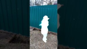 Subway surfers в РЕАЛЕ! #subwaysurfers #funny #king #смешно #рекомендации