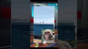 Game subway surfers di dunia nyata #shorts