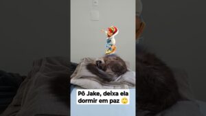 Jake do Subway Surfers não deixa a gata dormir em paz 🙄 #SubwaySurf
