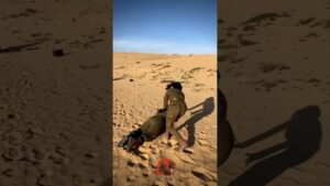 Subway Surfers in the military 😳