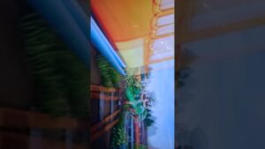 Subway surfers PC gameplay TAX So A Gamer gameplay #hillclimbracing #gameplay #hillclimb