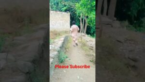 Subway Surfers🔥🤣