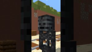 SUBWAY SURFERS CHALLENGE WITHER VS SPEAKERMAN #minecraft #challenge #minecraftanimation