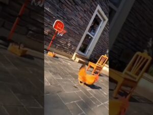 jake from subway surfers is an egg #subwaysurfers