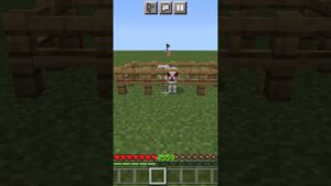 Minecraft is not real subway surfers