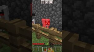 Minecraft this not real Subway Surfers