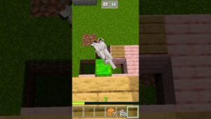 Subway surfers #wolf#