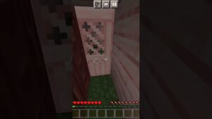 pov: you play subway surfers in minecraft...#minecraft #shorts