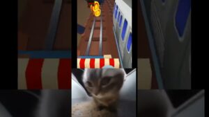 Subway surfers chipi chipi chapa chapa #subscribe #shorts #reels #gaming #shortsvideo