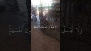 YouTube channel Subway surfers Quran চৌমুনী উত্তর বাজার কাশিনগর রোড চৌদ্দগ্রাম কুমিল্লা 01728989696=